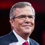 Jeb Bush